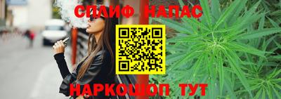 гашик Ливны