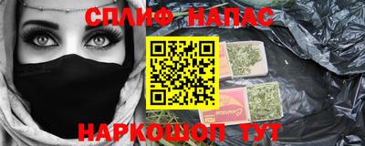 гашик Ливны