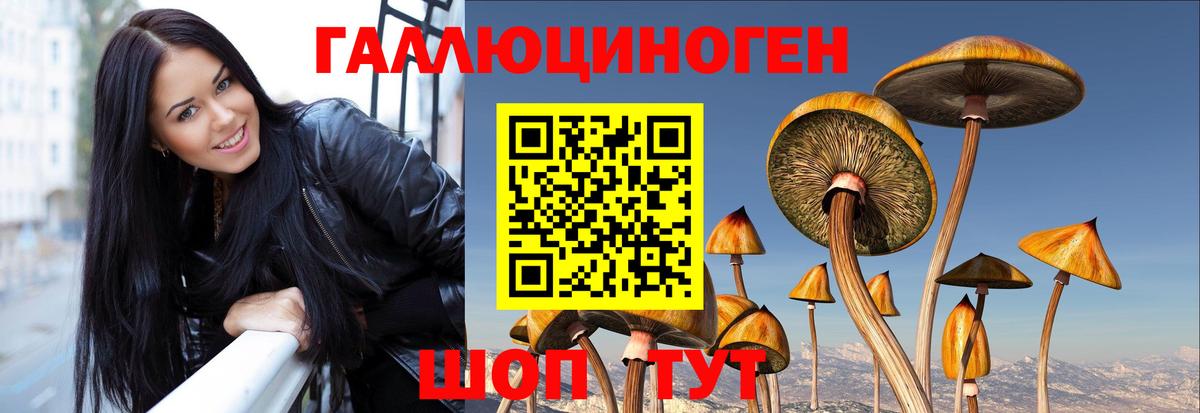 Псилоцибиновые грибы Psilocybe  Псилоцибиновые грибы Magic Shrooms  Вход с VPN  Троицк 